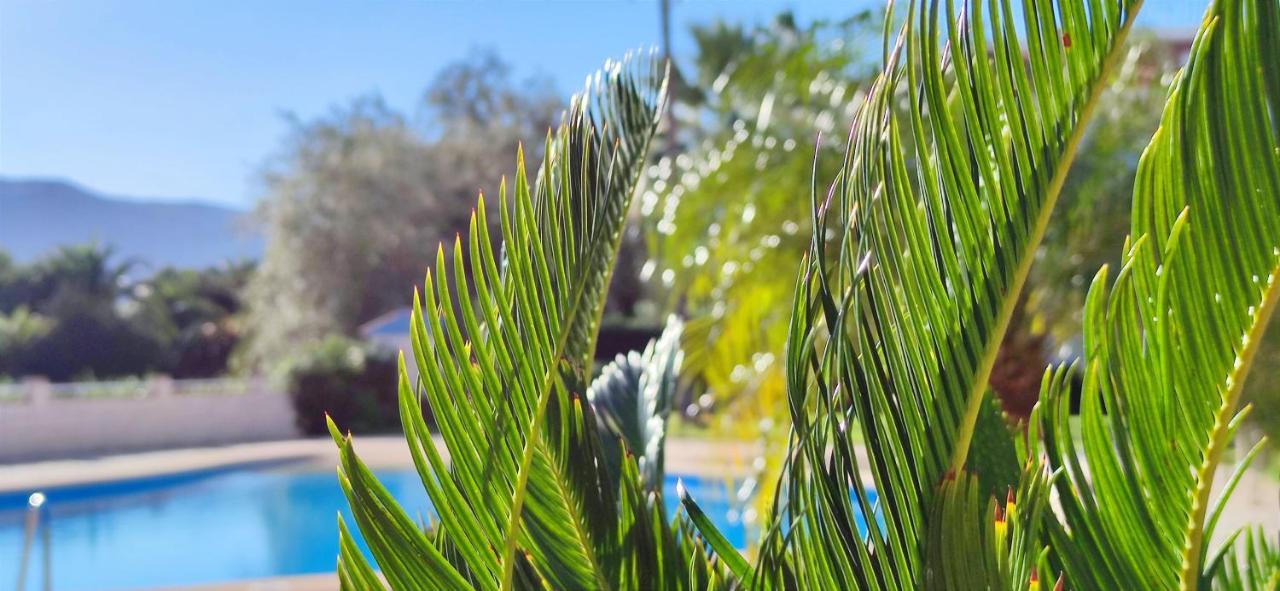 Apartamento Pont Sec By Denia Costa ภายนอก รูปภาพ